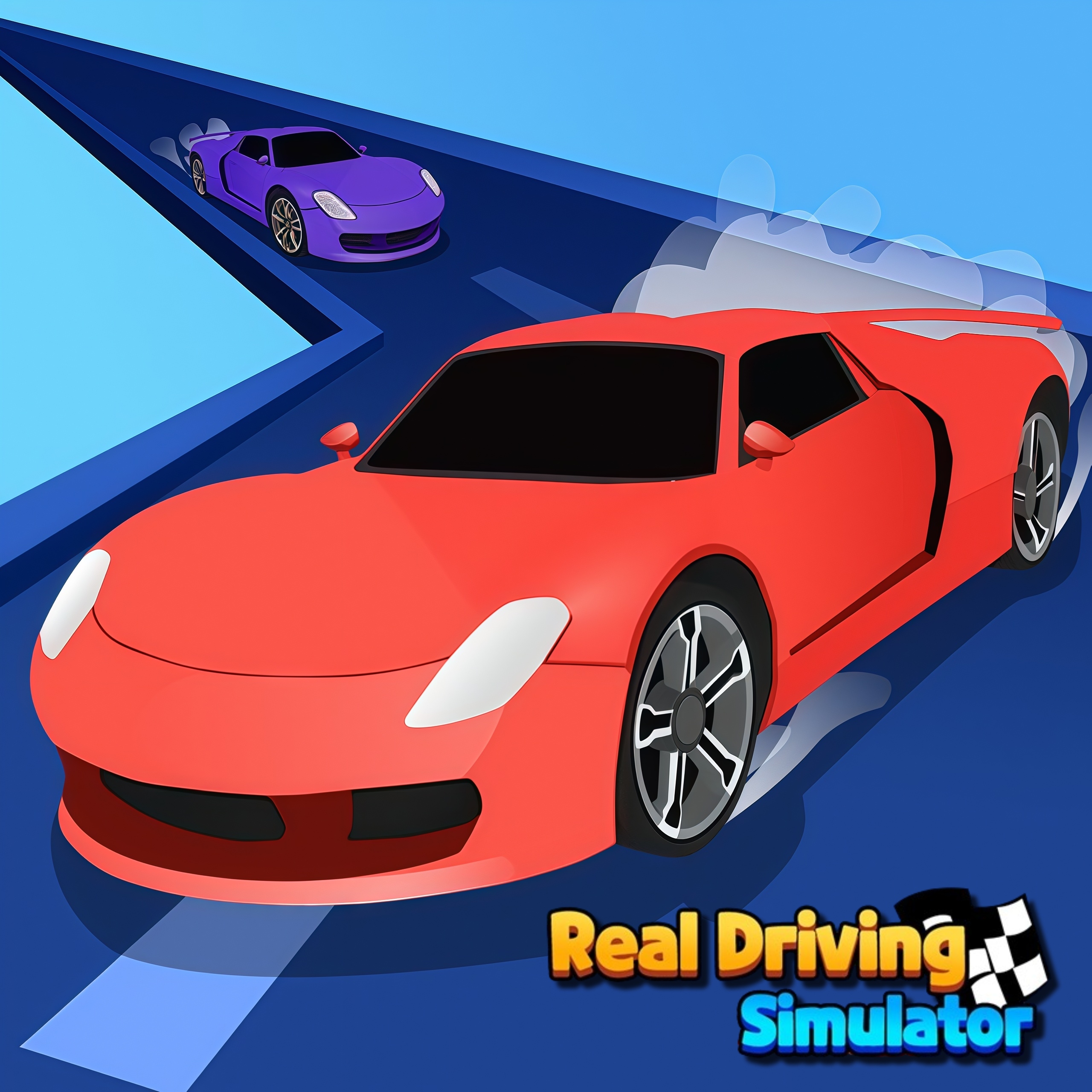 Real Driving Simulator