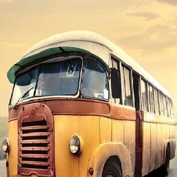 Bus Parking in the Port