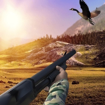 Duck Hunter