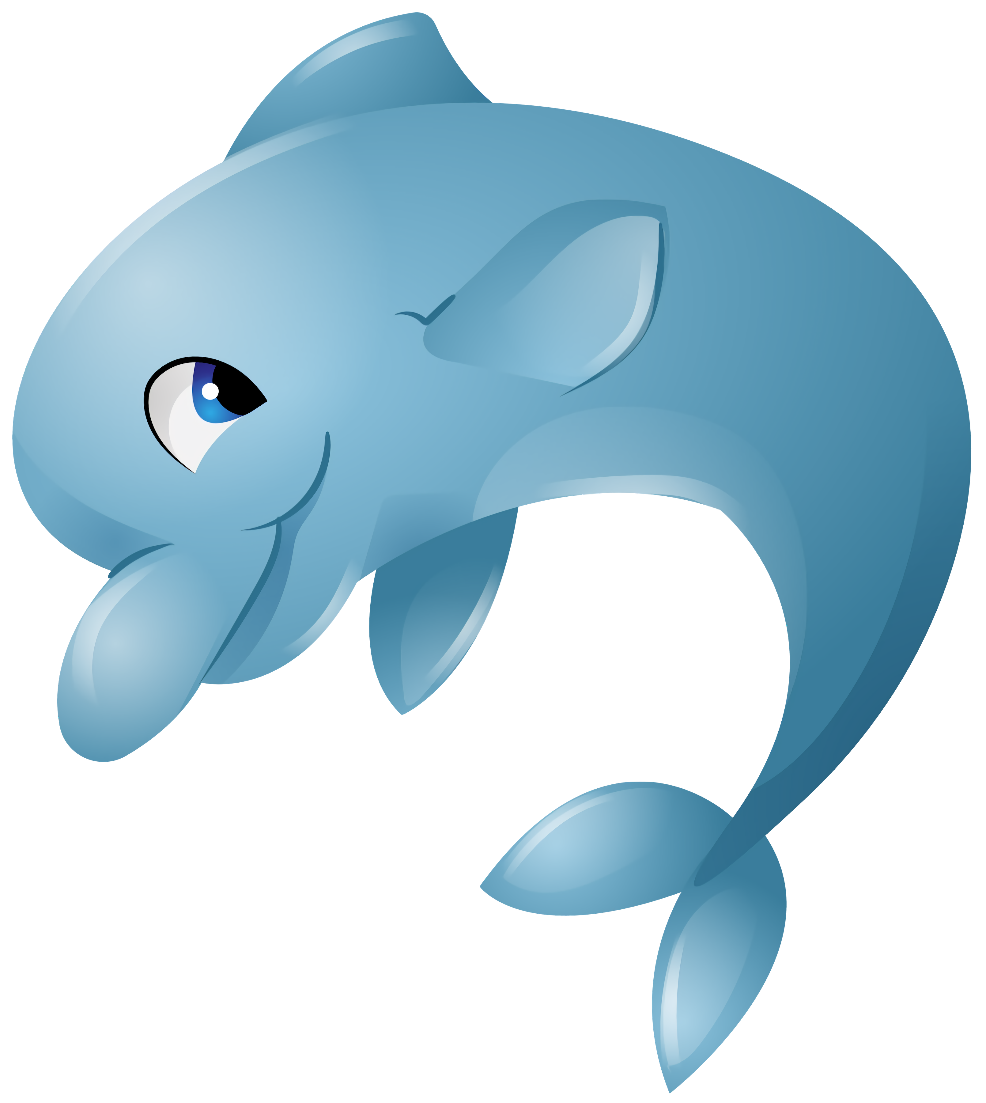 Hry s delfíny