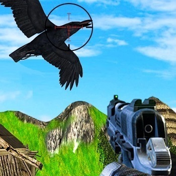 Chicken And Crow Shoot