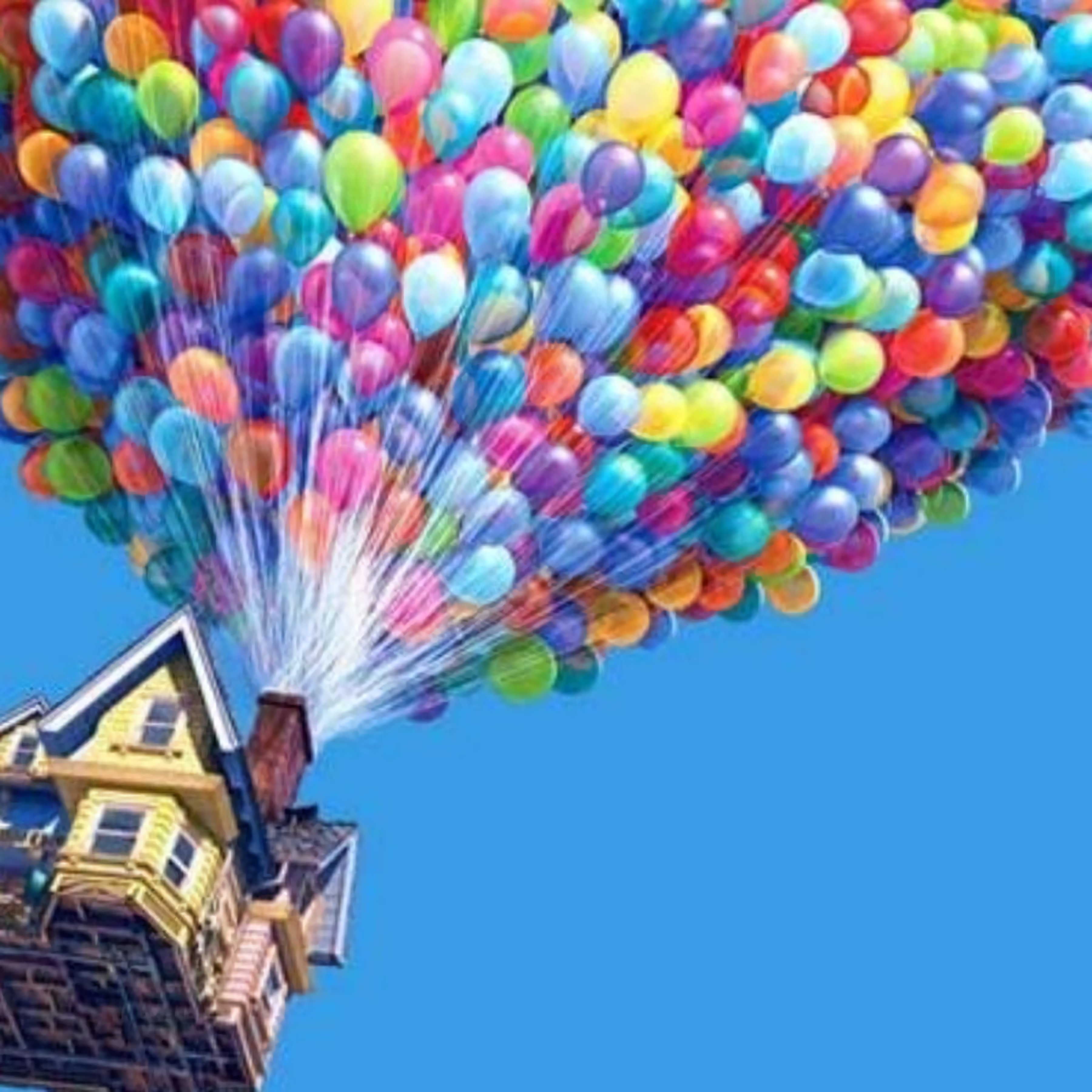 Fly House
