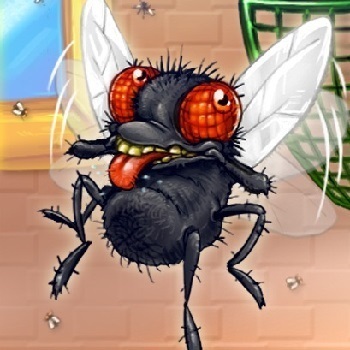 Extermination Of Flies