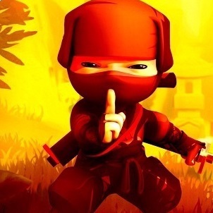 Ninja War